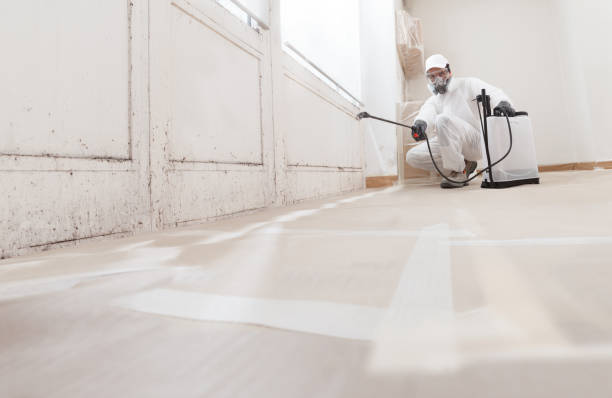24/7 Emergency Mold Removal experts in Wheaton, IL